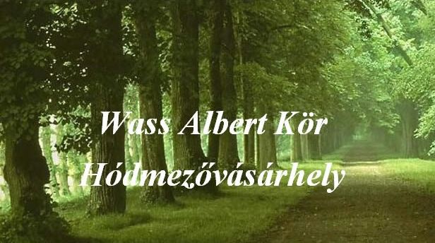 A Wass Albert Irodalompártoló Egyesület felhívása a magyar költészet napjához kapcsolódó vers- és prózamondó versenyére